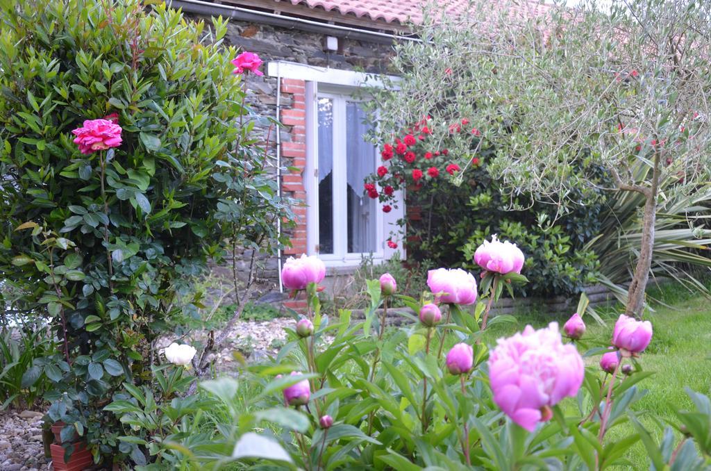 L'Arbre D'Alais Bed & Breakfast Saint-Fulgent Bagian luar foto